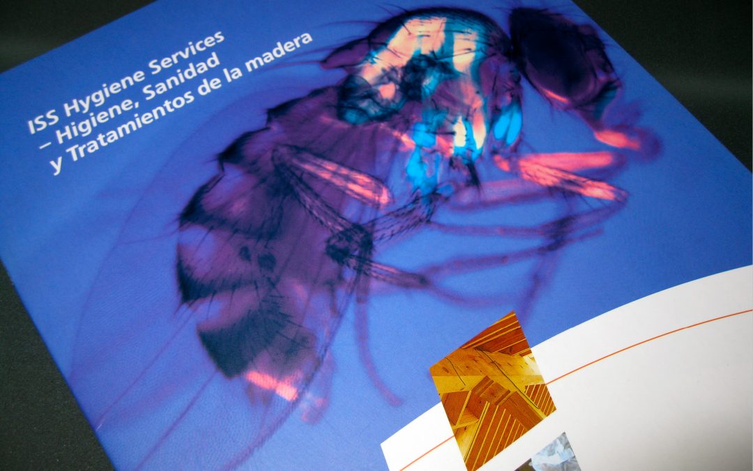 Editorial / impresión 13